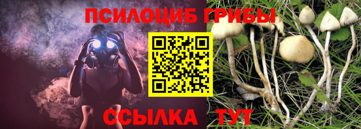 Галлюциногенные грибы MAGIC MUSHROOMS  Вход с VPN  Зима 